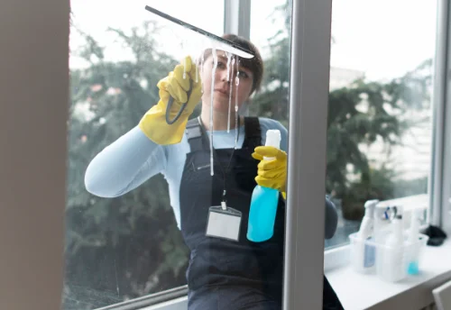 Nettoyage de vitres intérieures et extérieures à Plesnoy